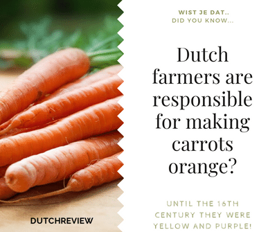 Dutch made carrots