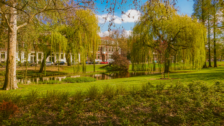 Canal-and-park-areas-in-heemraadsingel-in-rotterdam