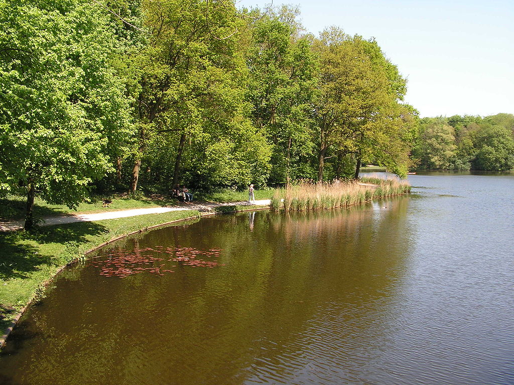 woman-walking-by-lake-haagse-bos-forest-netherlands