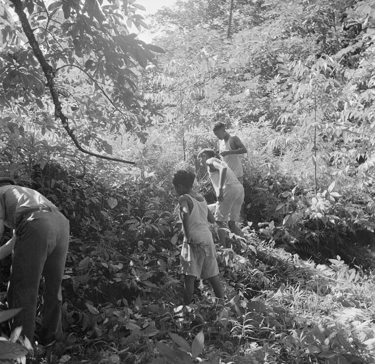 The life of the slaves in the Dutch colonies