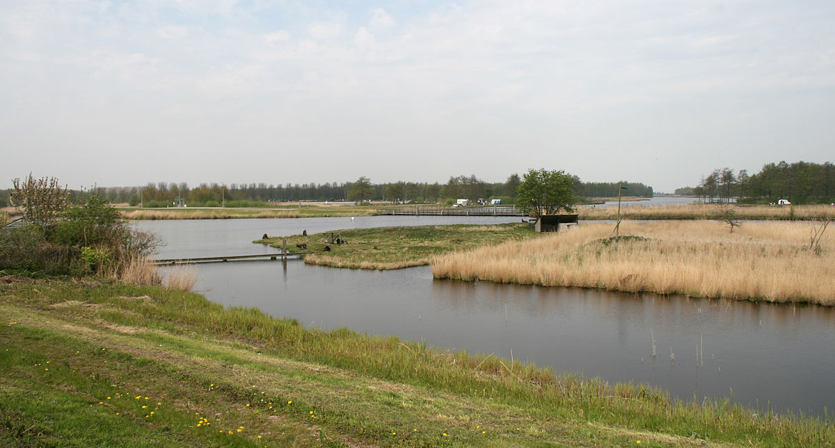 Twiske-nature-walking