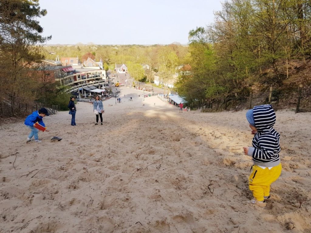 Dutch Beaches: Sanddune at Paal 29