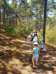 Dutch Beaches: A family hiking to Paal 29