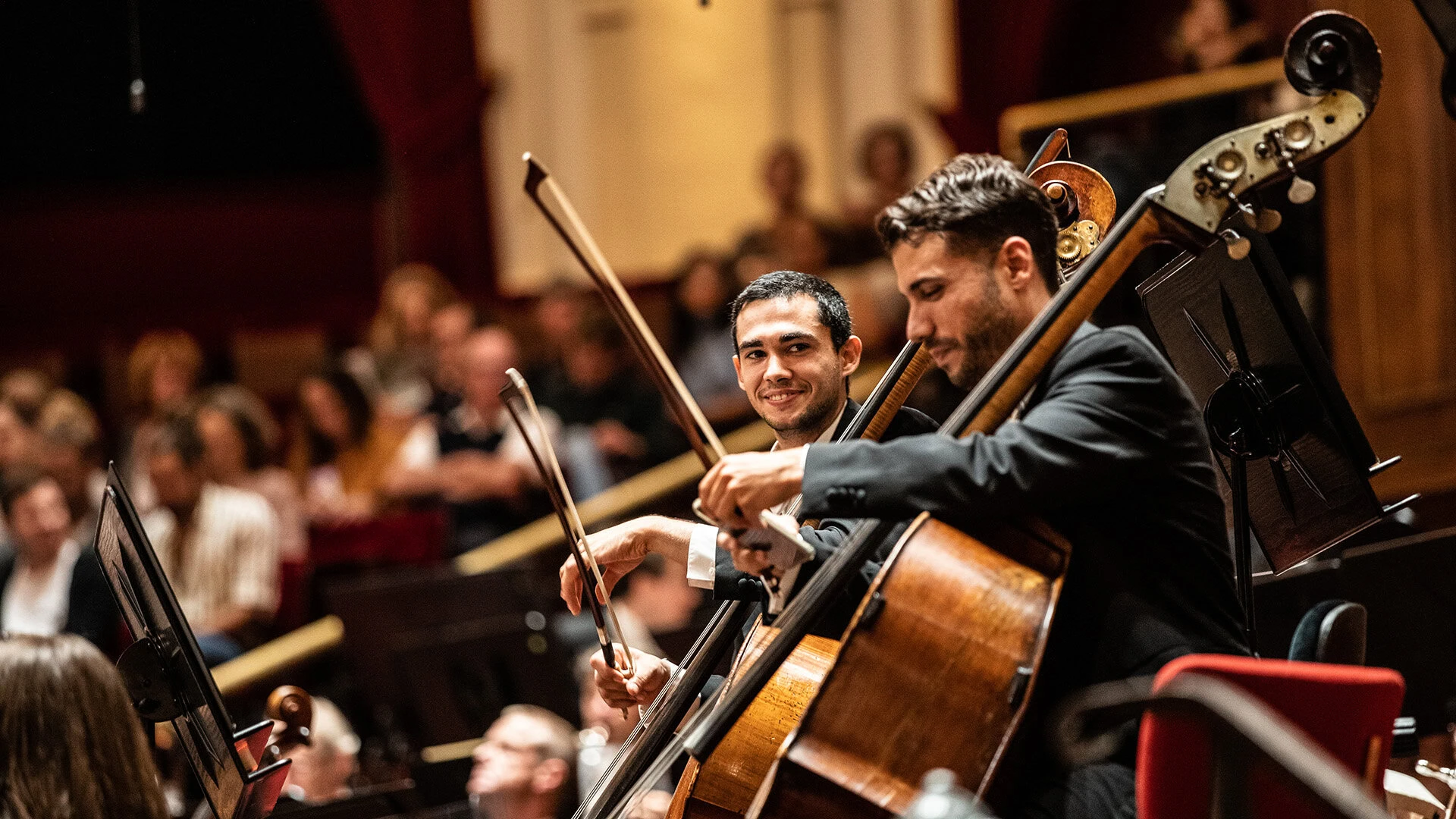 two-cello-players-of-the-netherlands-philharmonic-at-a-concert