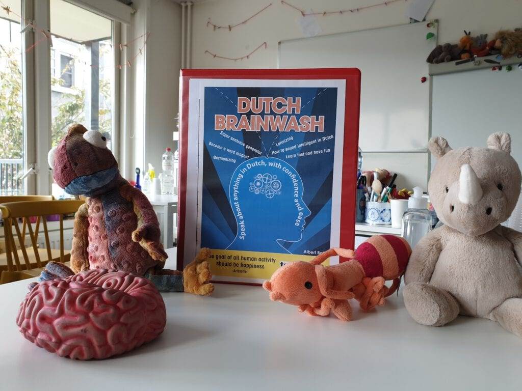 Photo-of-classroom-table-with-stuffed-animals-and-framed-poster-of-Dutch-brainwash-logo-during-Dutch-course