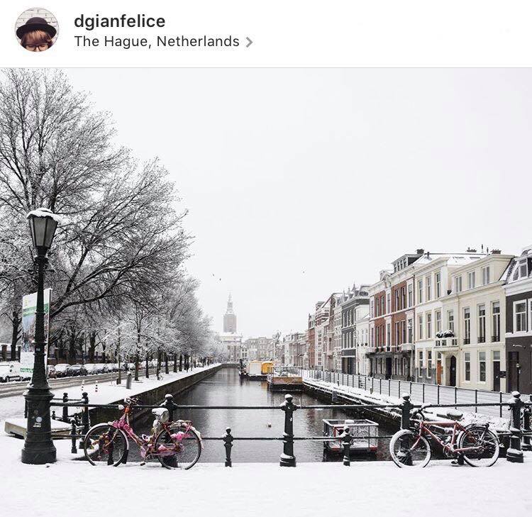 instagram-post-of-snowy-The-Hague