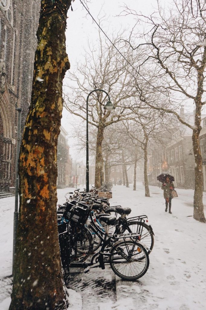 snowy-Dutch-street