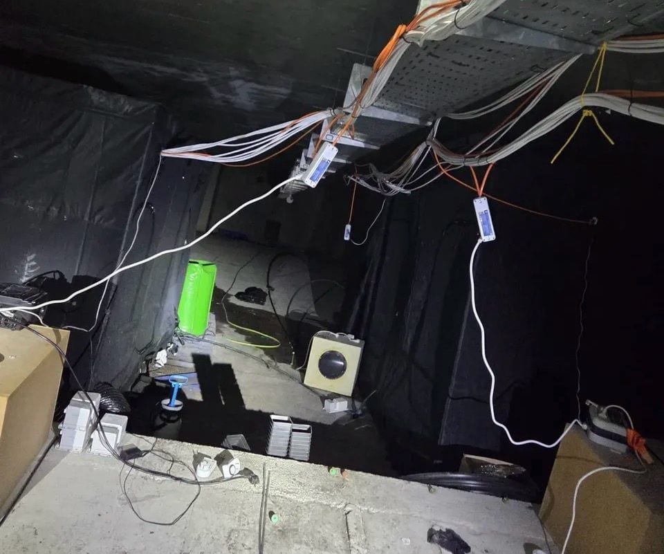 photo-of-the-inside-of-an-illegal-cannabis-farm