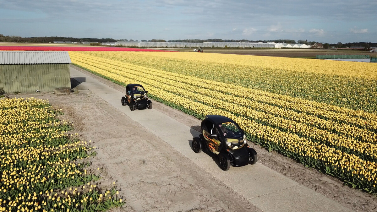 Photo-of-cars-driving-around-Renzy-tulip-field-tour-holland-Netherlands