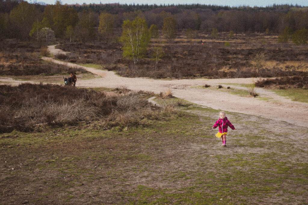 photo-of-a-little-girl-walking-in-dutch-nature