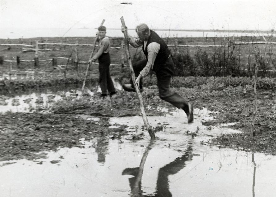 Dutch farmer fierjleppen 1938