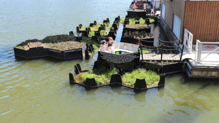 There’s a new floating park in Rotterdam and it looks seriously cool