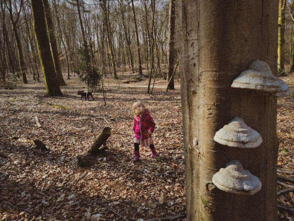 photo-of-a-little-girl-walking-through-a-forest-in-veluwe