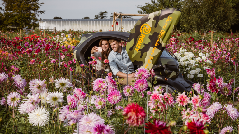 See the magical Dutch flower gardens and the dunes in a unique way