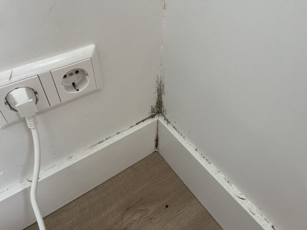 photo-of-mould-in-corner-due-to-dampness