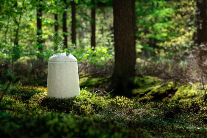 Loop-Biotech-EarthRise-urn-in-forest
