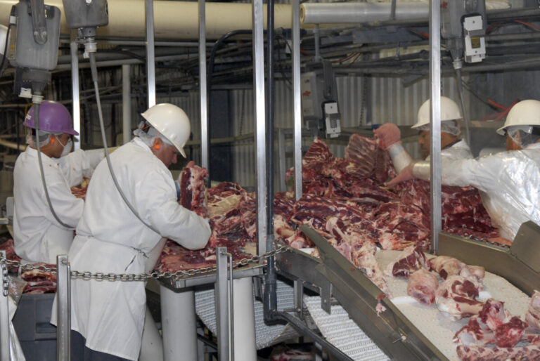 Cases of coronavirus emerge once more in a meat processing plant