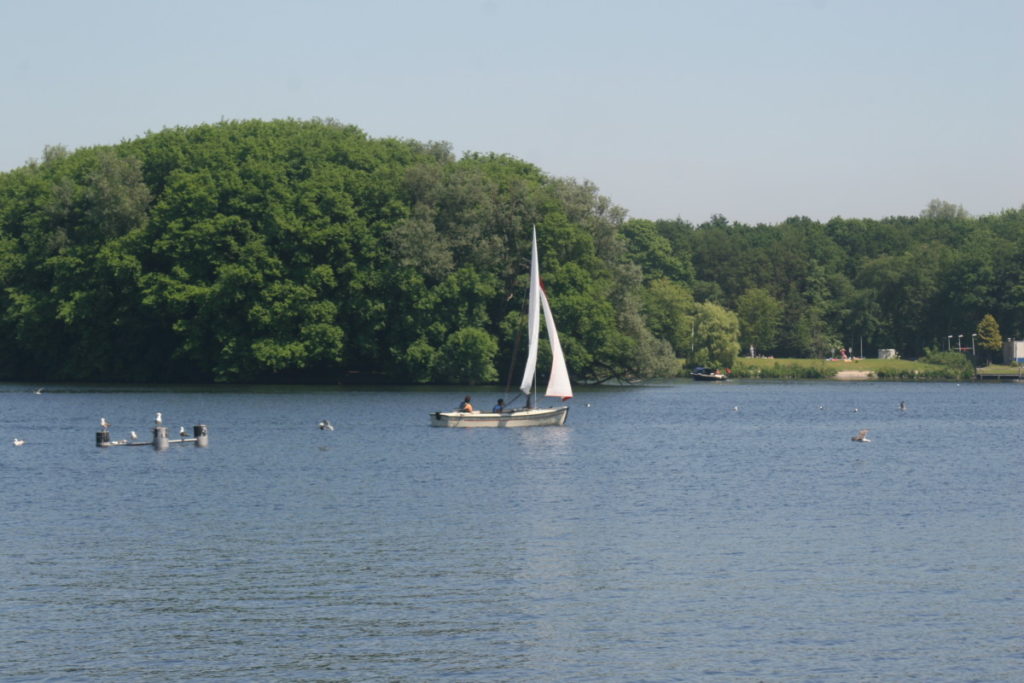 swimming near amsterdam