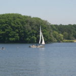 swimming near amsterdam