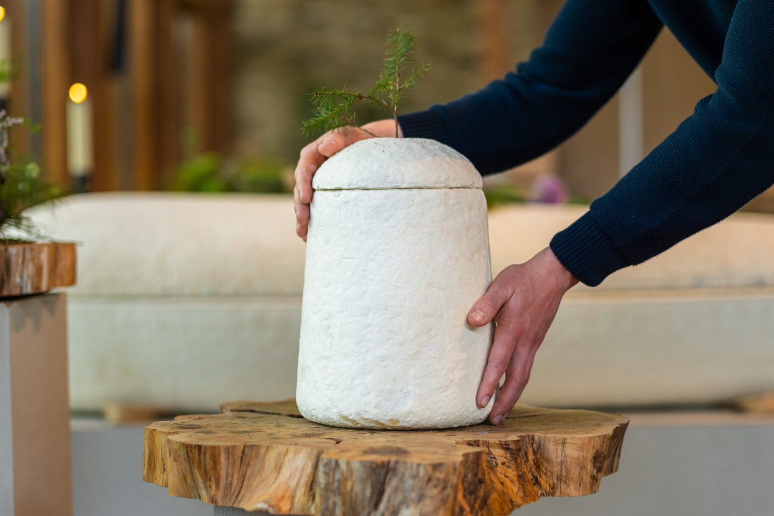 This Dutch company has created urns that grow into trees!