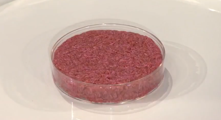 Cultured meat in the Netherlands: fantasy or reality?