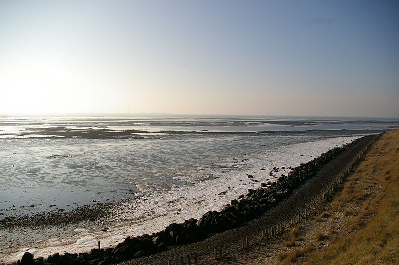 photo-of-shore-at-oosterschelde-national-park-netherlands