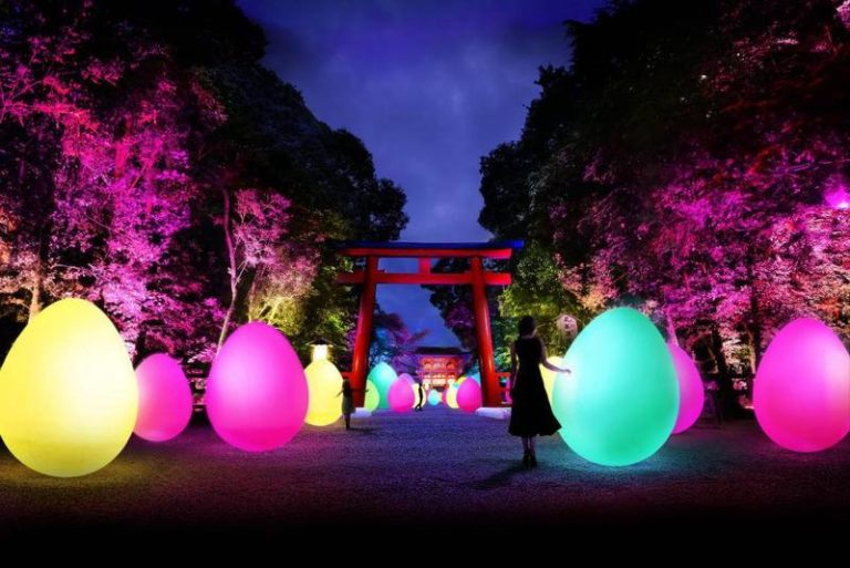 Japanese food and light festival to be held in Rotterdam