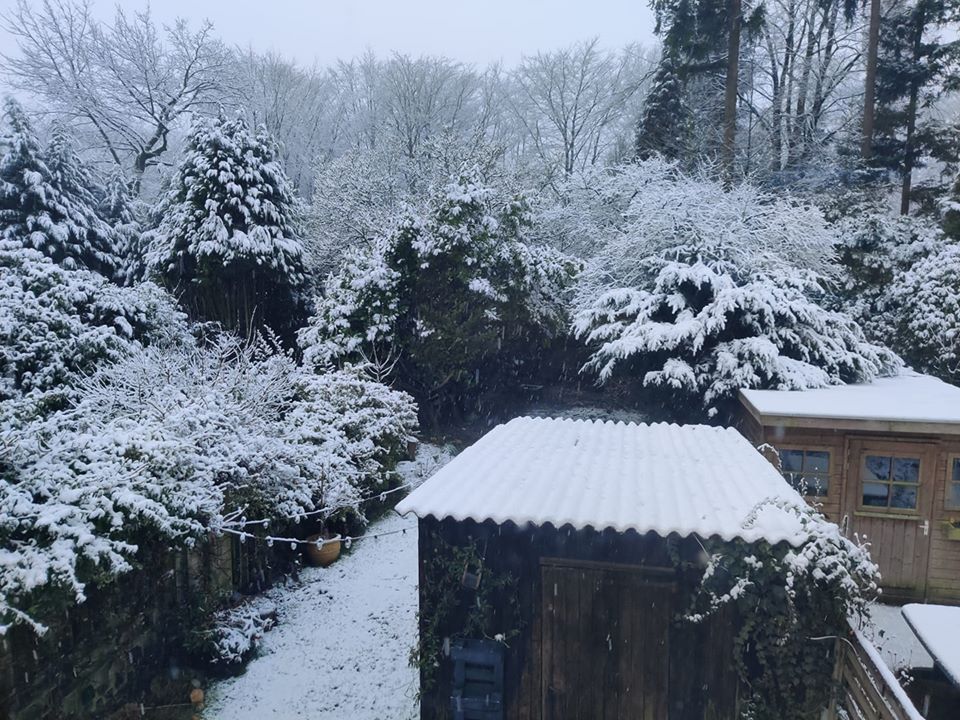 snow in the Netherlands 