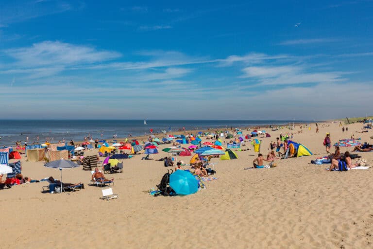 Great white shark spotted off the Dutch coast: Here’s what you should know before swimming in the sea