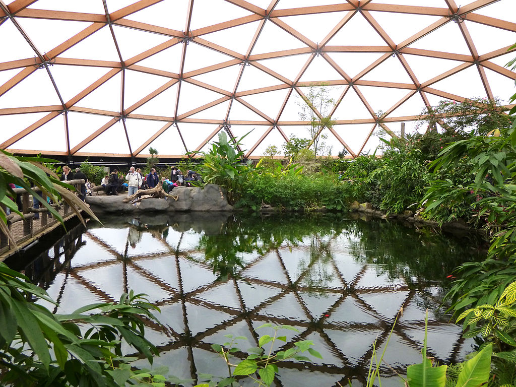 photo-of-visitors-in-a-greenhouse-area-of-the-blijdorp-zoo-rotterdam-netherlands