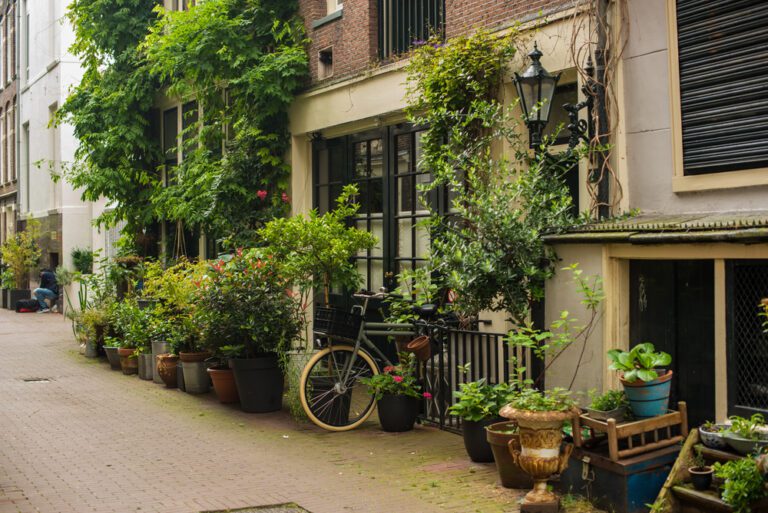 Dutch Quirk #17: Treat the public footpaths like their personal terrace