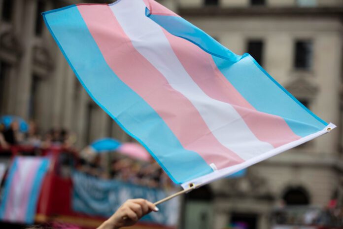 Photo-of-hand-holding-transgender-pride-flag-at-parade-Amsterdam
