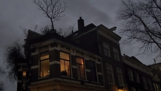 Amsterdam_huisje_boompje