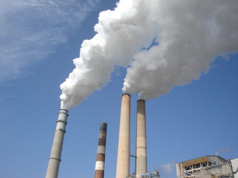 Emissions have dropped and nature is rewilding because of coronavirus