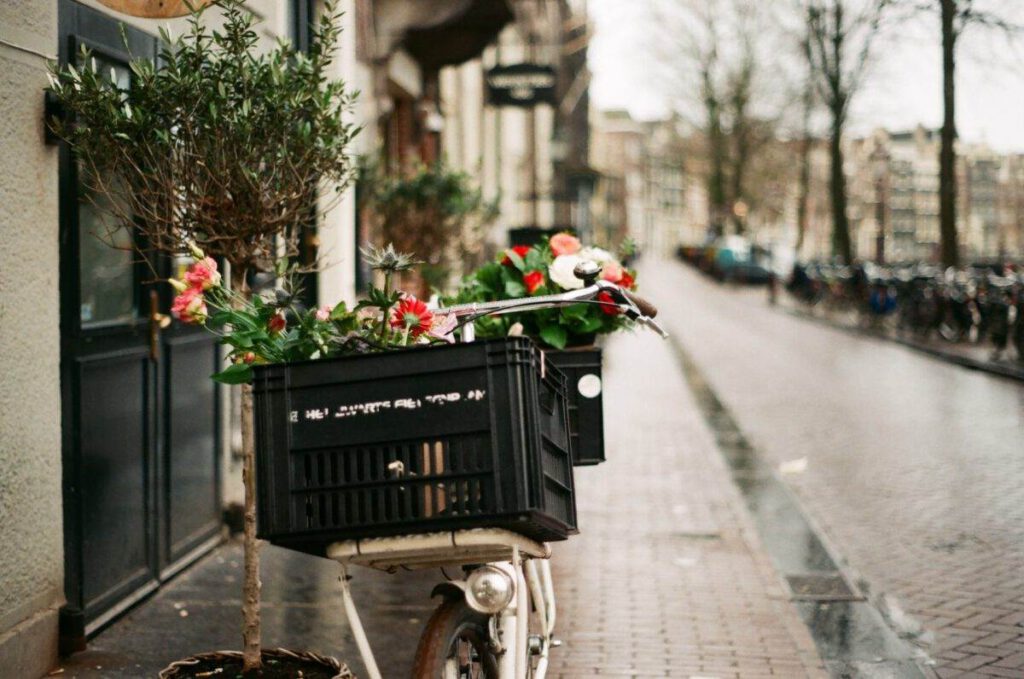 Bike-with-flowers-in-the-basket-in-Amsterdam