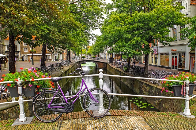 purple-bike-on-canal-amsterdam-in-summer-with-green-trees-and-flowers-beautiful