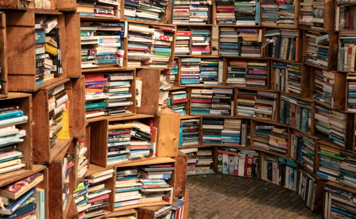 Shelf-of-second-hand-books-in-deventer-the-netherlands