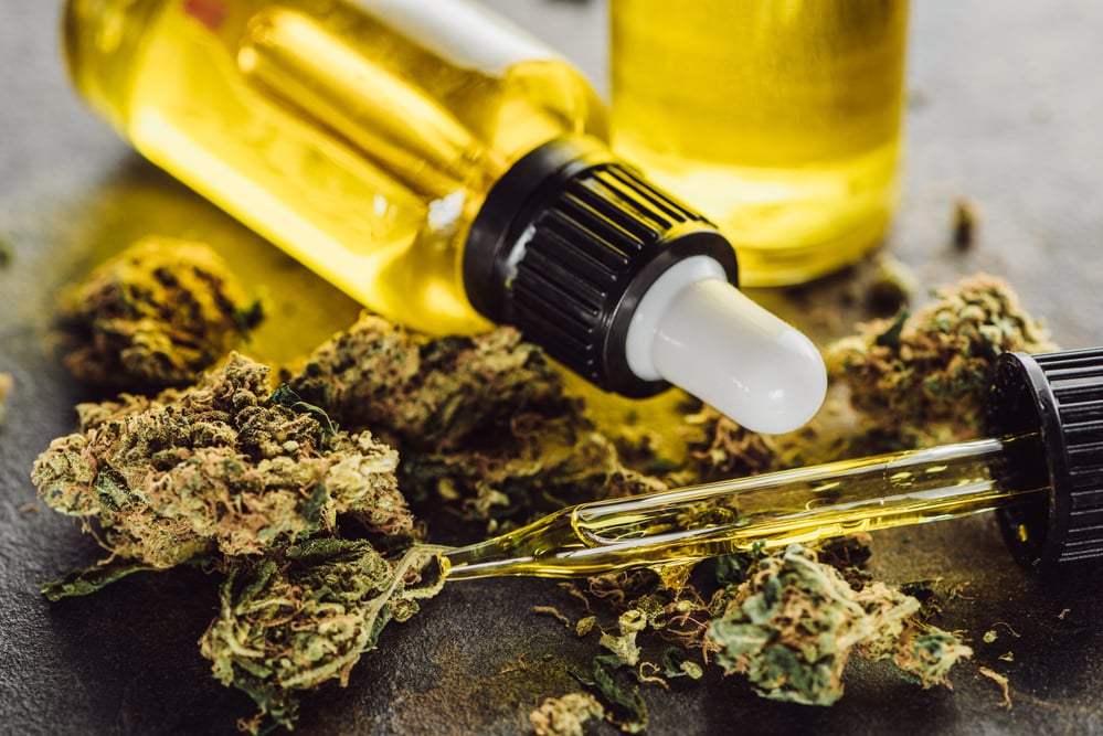close-up-of-two-bottles-with-cbd-oil-amidst-cannabis-buds