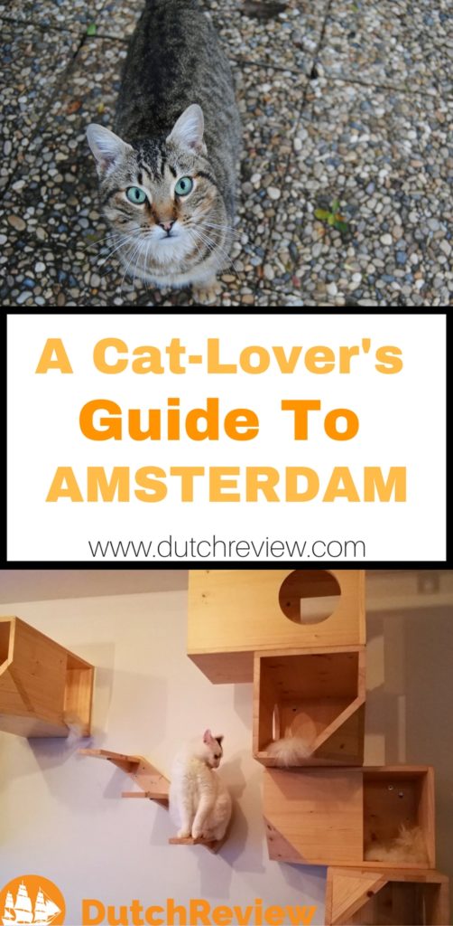 A CatLover's Guide to Amsterdam DutchReview