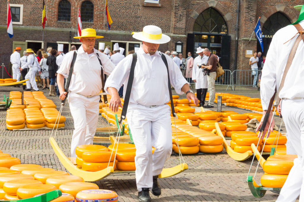 People-carrying-cheese-wheels-in-the-alkmaar-cheese-market