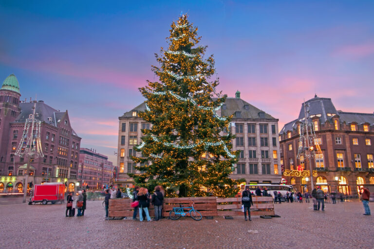 christmas tree on dam square netherlands amsterdam