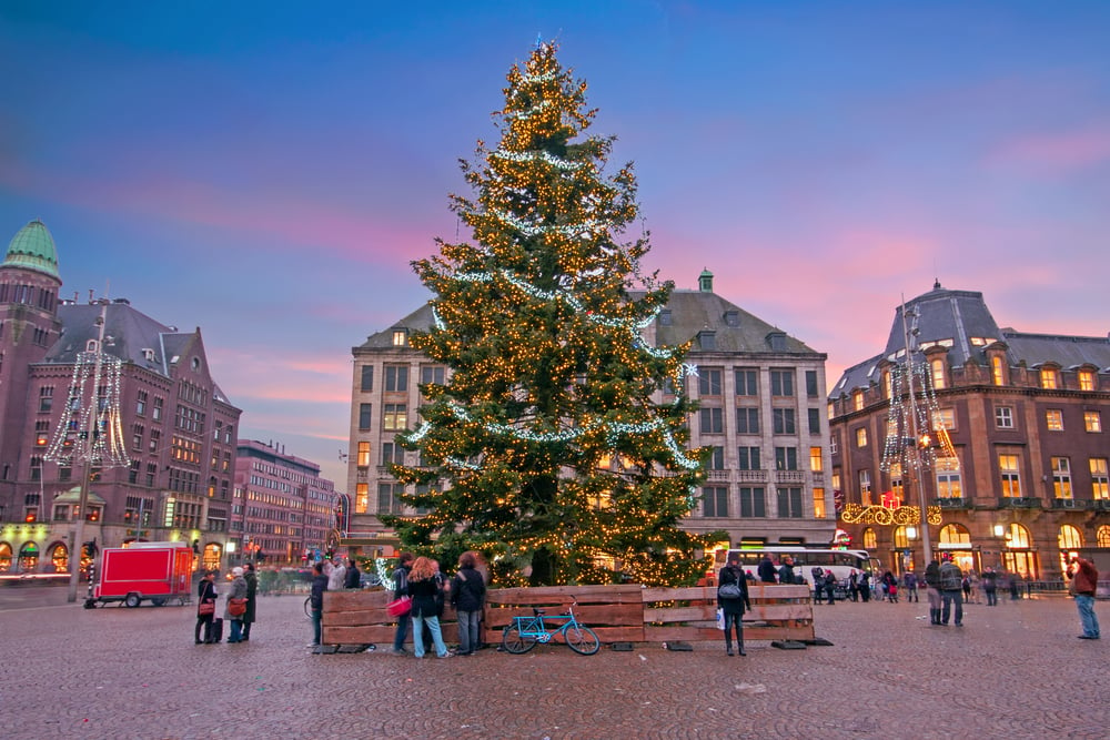christmas tree on dam square netherlands amsterdam during Christmas holidays in the Netherlands