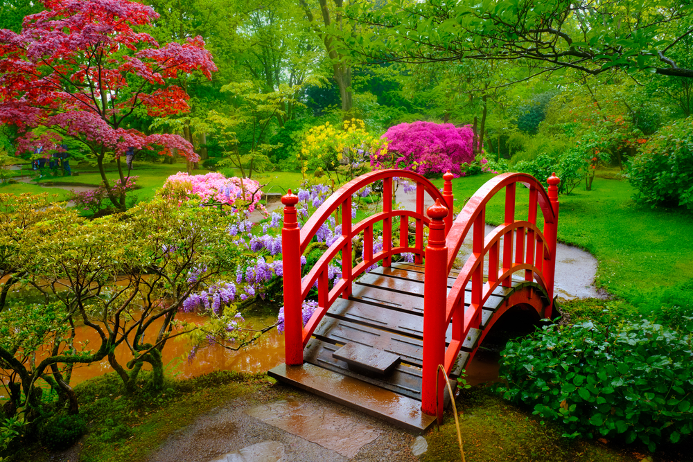 photo-of-red-bridge-in-japanese-garden-in-clingendael-park-the-hague