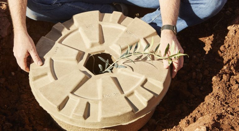 This innovative Dutch ‘Tree Cocoon’ could help reforest the planet