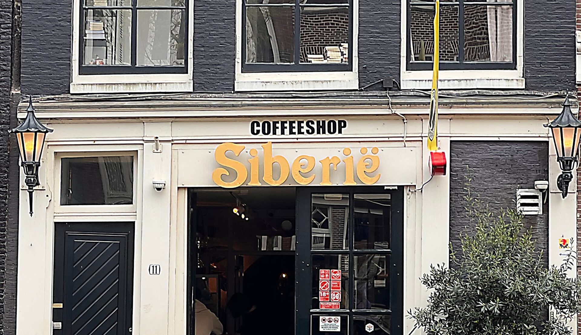 Is smoking weed in Amsterdam legal? (+ 7 best coffeeshops!) | DutchReview
