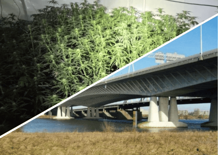 Dutch police discover weed farm inside bridge following bizarrely high electricity bill