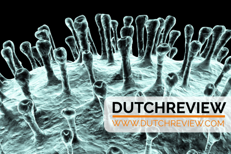 Here’s what we know about coronavirus patients and deaths in the Netherlands so far