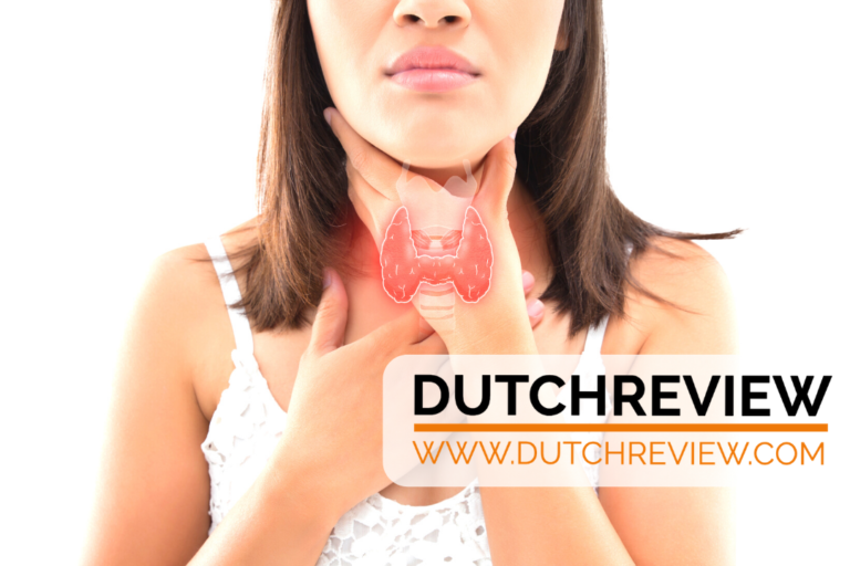 Coronavirus: number of cases in the Netherlands reaches 1413