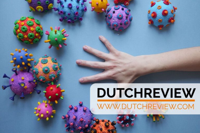 Twelve members of a Belgian family contract coronavirus after a holiday at Dutch beachtown