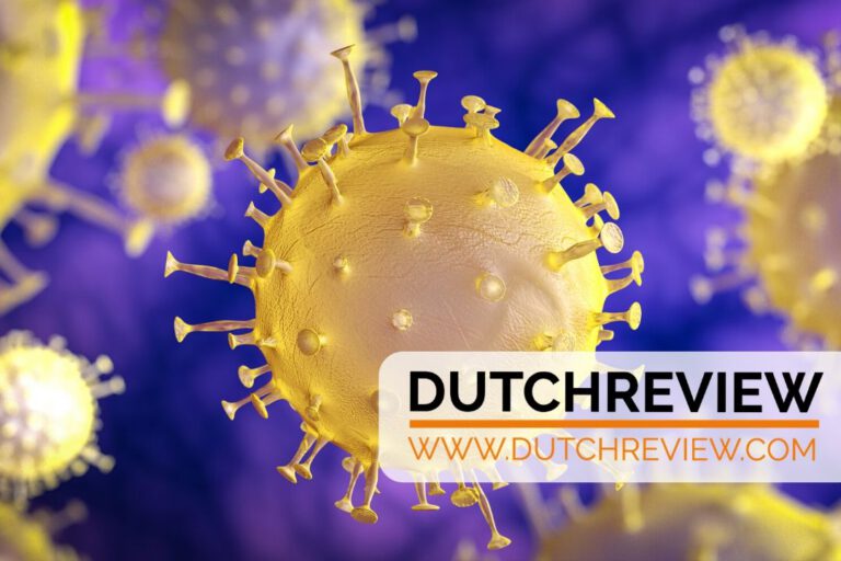 Coronavirus update: 42,000 tests in the past four days, 116 new cases in past 24-hours